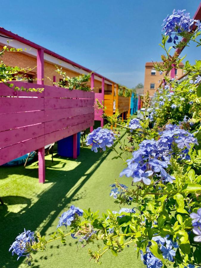 Hotel Acajou Argelès-sur-Mer Dış mekan fotoğraf